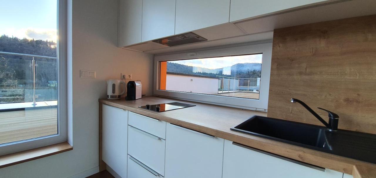 Penthouse Apartman Mineral B-4 Бардеевские Купели Экстерьер фото