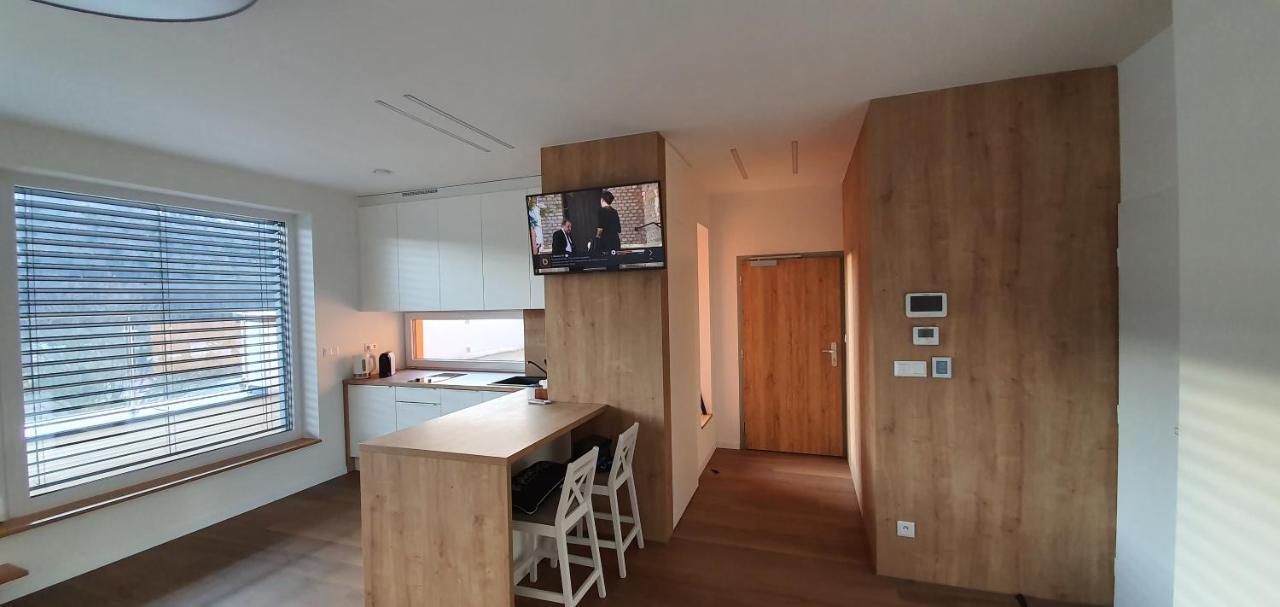 Penthouse Apartman Mineral B-4 Бардеевские Купели Экстерьер фото