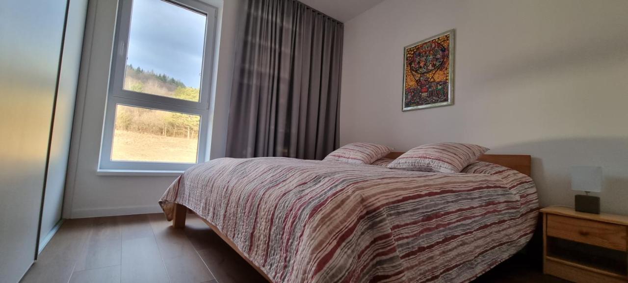 Penthouse Apartman Mineral B-4 Бардеевские Купели Экстерьер фото